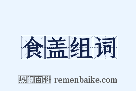 食盖组词是什么意思的图片